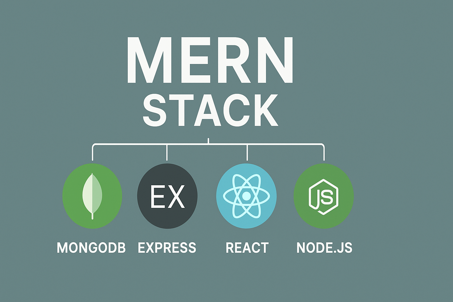 MERN Stack Development